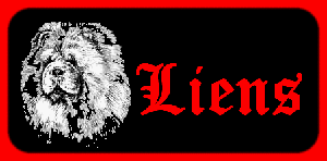 Logo Liens